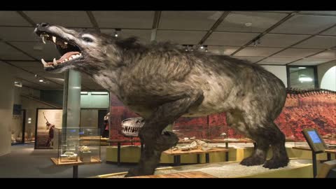 Andrewsarchus sound effect