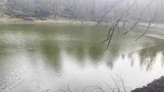 View of River Runoff Ponds from Rustic Edifice – Deschutes River – Central Oregon – 4K