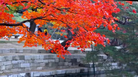 Beauty of nature