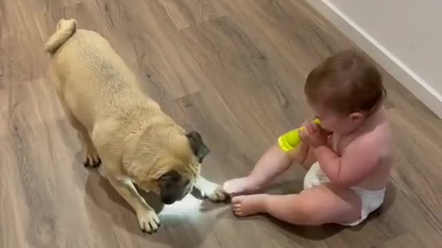 Cute baby playing with a sweet pet