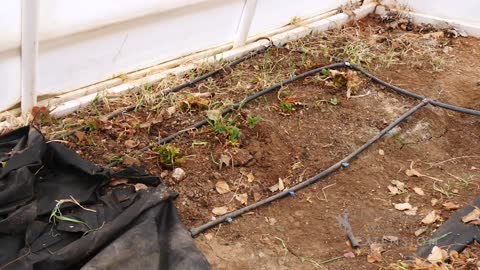 Drip Irrigation Flow Rates | From the Ground Up