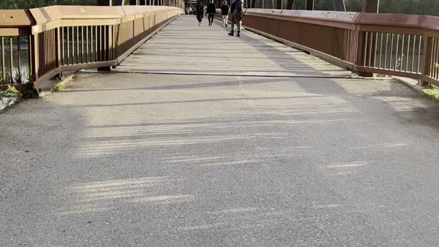 Old bridge on Rundle park rive