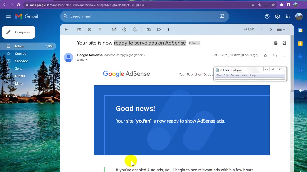 How To Proof For Yo.fan Website Monetize Ready to Serve Ads Show on AdSense