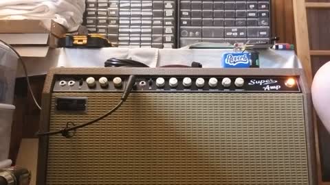 TriGens Amplification Super-Amp (6G4 Clone)