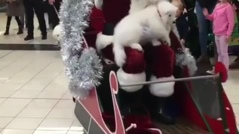santa claus mount