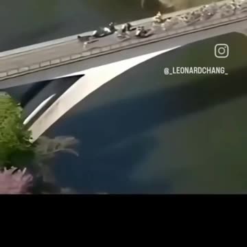 The horse was like "hold my beer, you boys don't know nothing about winning a race"!