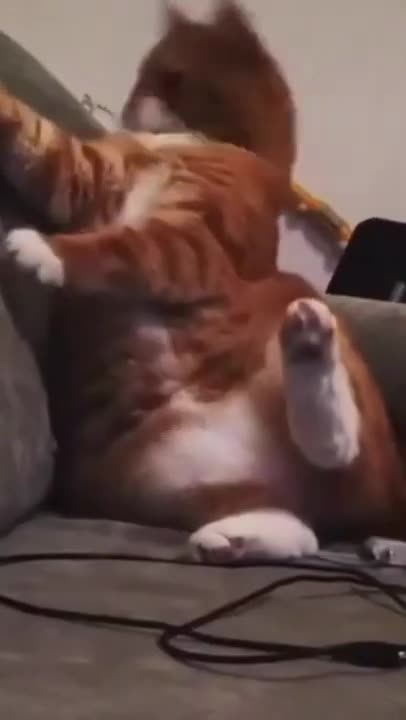 Very good, I laughed a lot, don't miss it