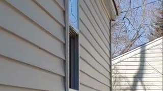 Plumber Working From Home