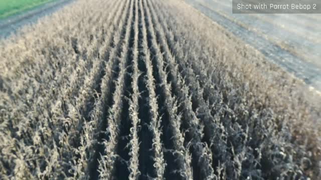 BEST OF SOWEGA CORN HARVEST EPISODE 102