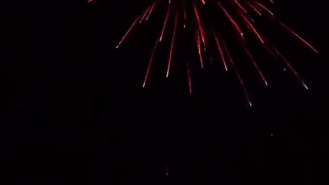 Sparkling fireworks bloom in the sky