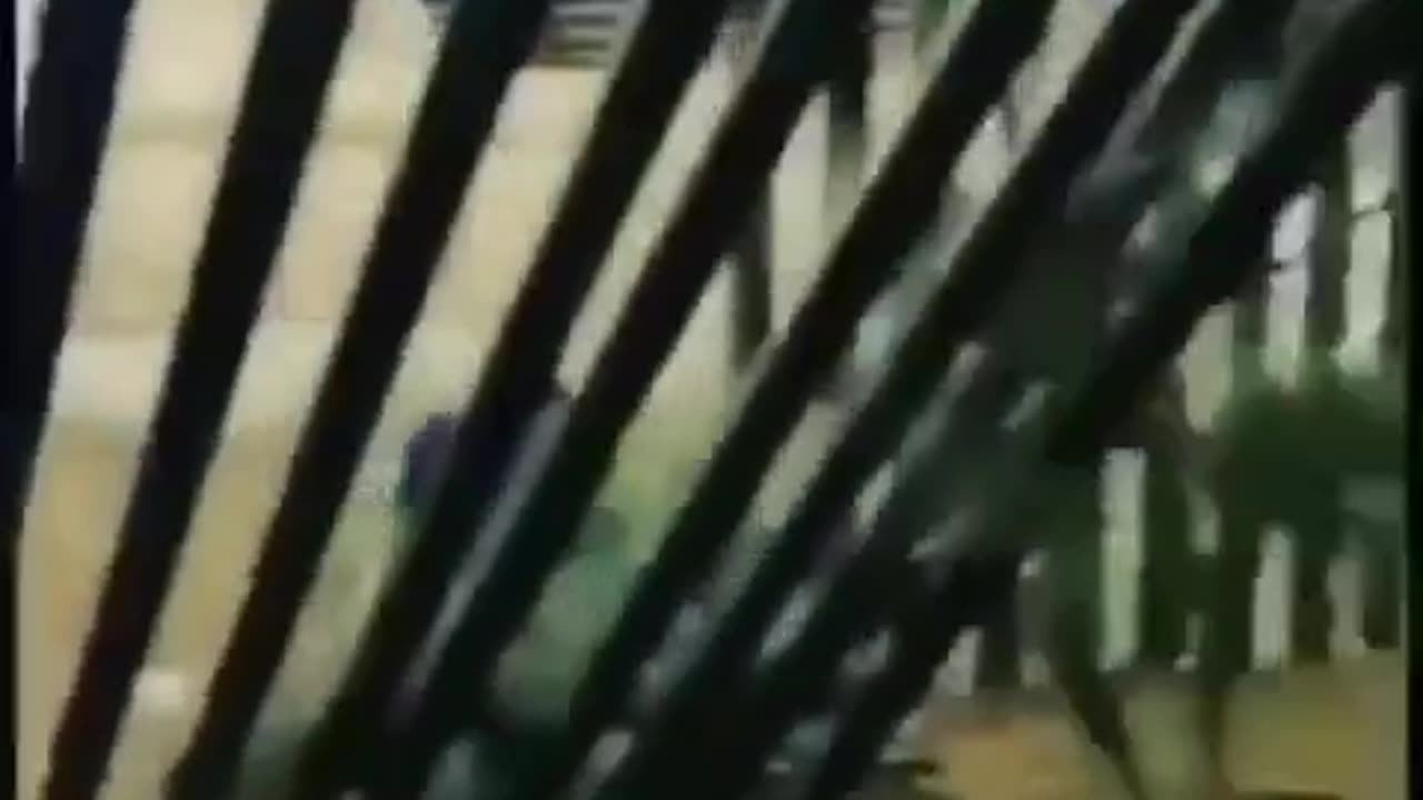 Biden has allowed cartel members to cut out pieces of the wall to let their trucks through