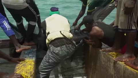 La pêche à la sardine au Sénégal ： une entreprise périlleuse