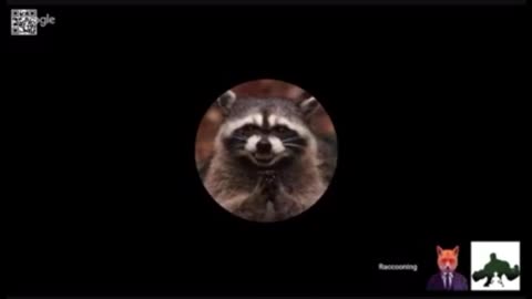 RACCOONING RACCOON - AS ONDAS FEMINISTAS