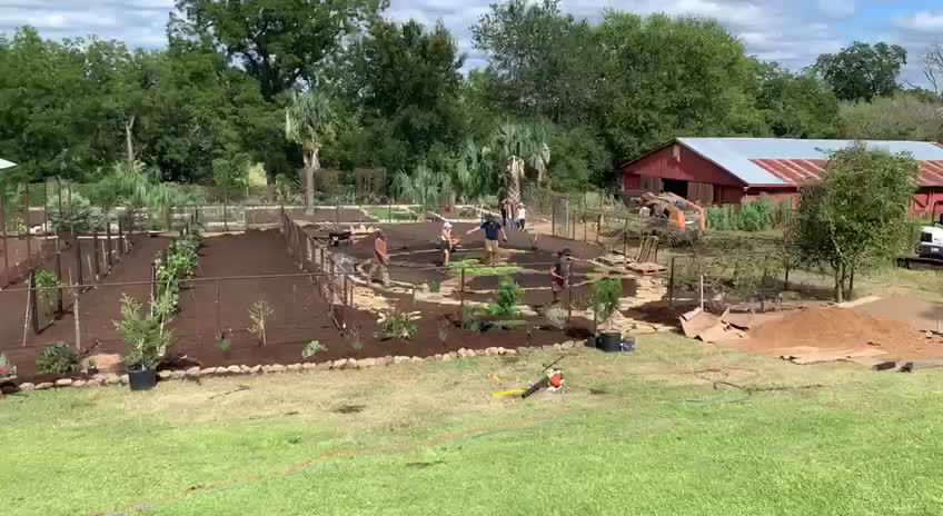 Gorgeous Example Food Forest!