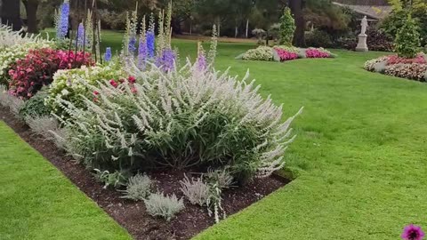 Ballarat Gardens: Beautiful Flowers & Busy Honey Bees 🌸🐝