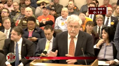 VSSA Speaks at Virginia Senate Judiciary Committee on Northam's 2020 Gun Ban