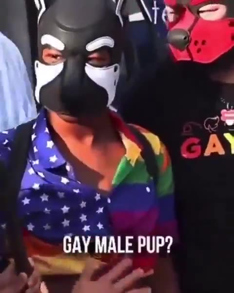 I bet we will have flying cars in the year 2000