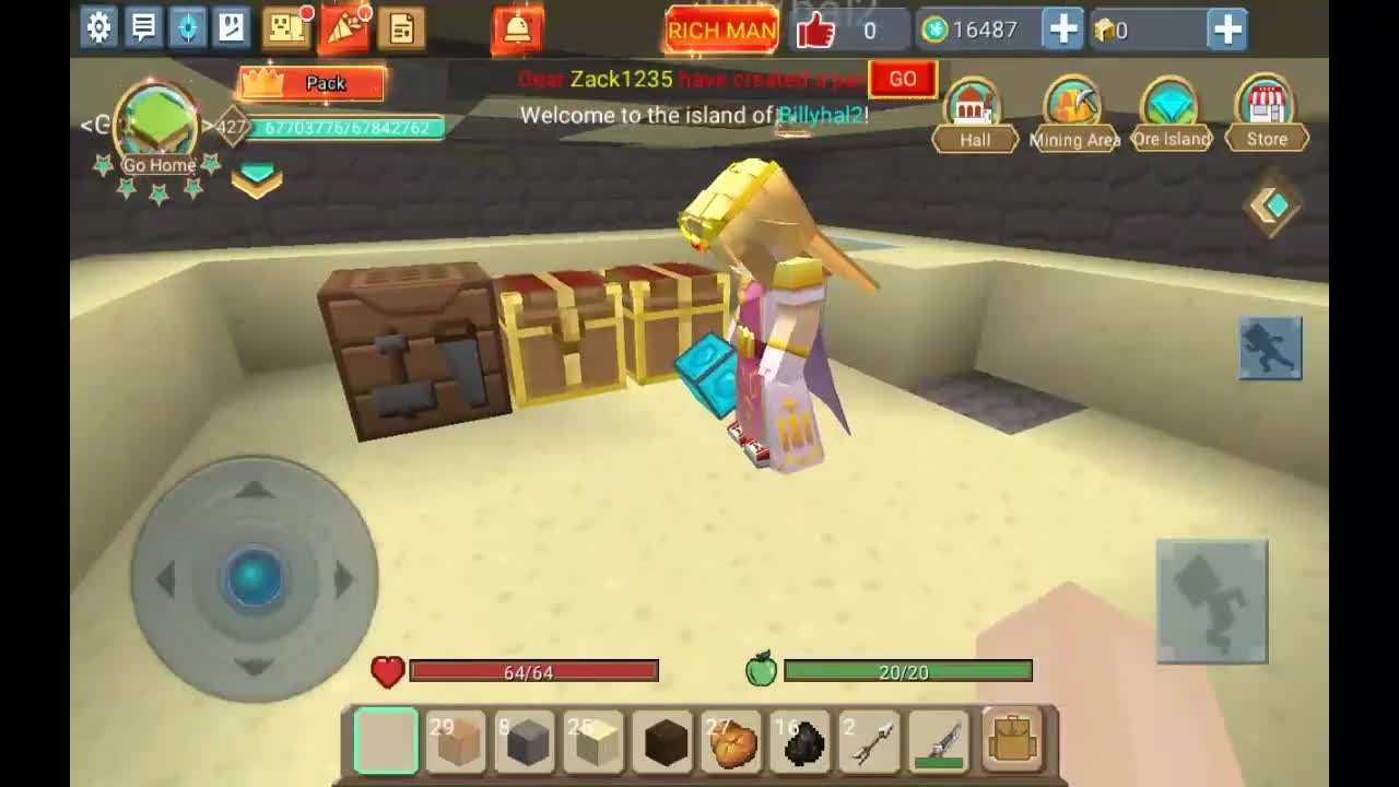 BLOCKMAN GO