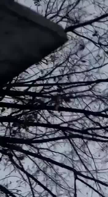 Ukraine: Ukraine soldiers get blown up by a tank