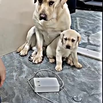 Videos that will make you cry