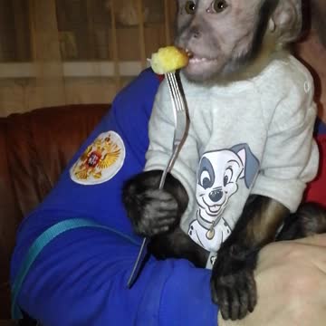 Руками есть вкуснее