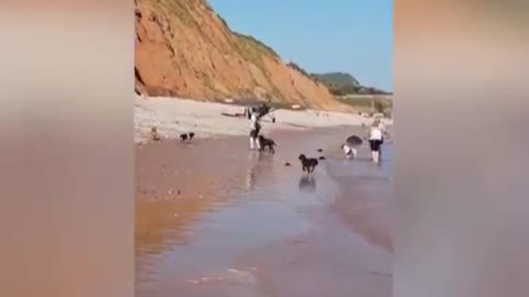 Incredible footage shows pilot's brave emergency landing on beach