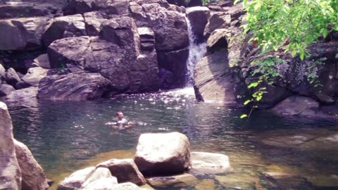 Natural forest with waterfall