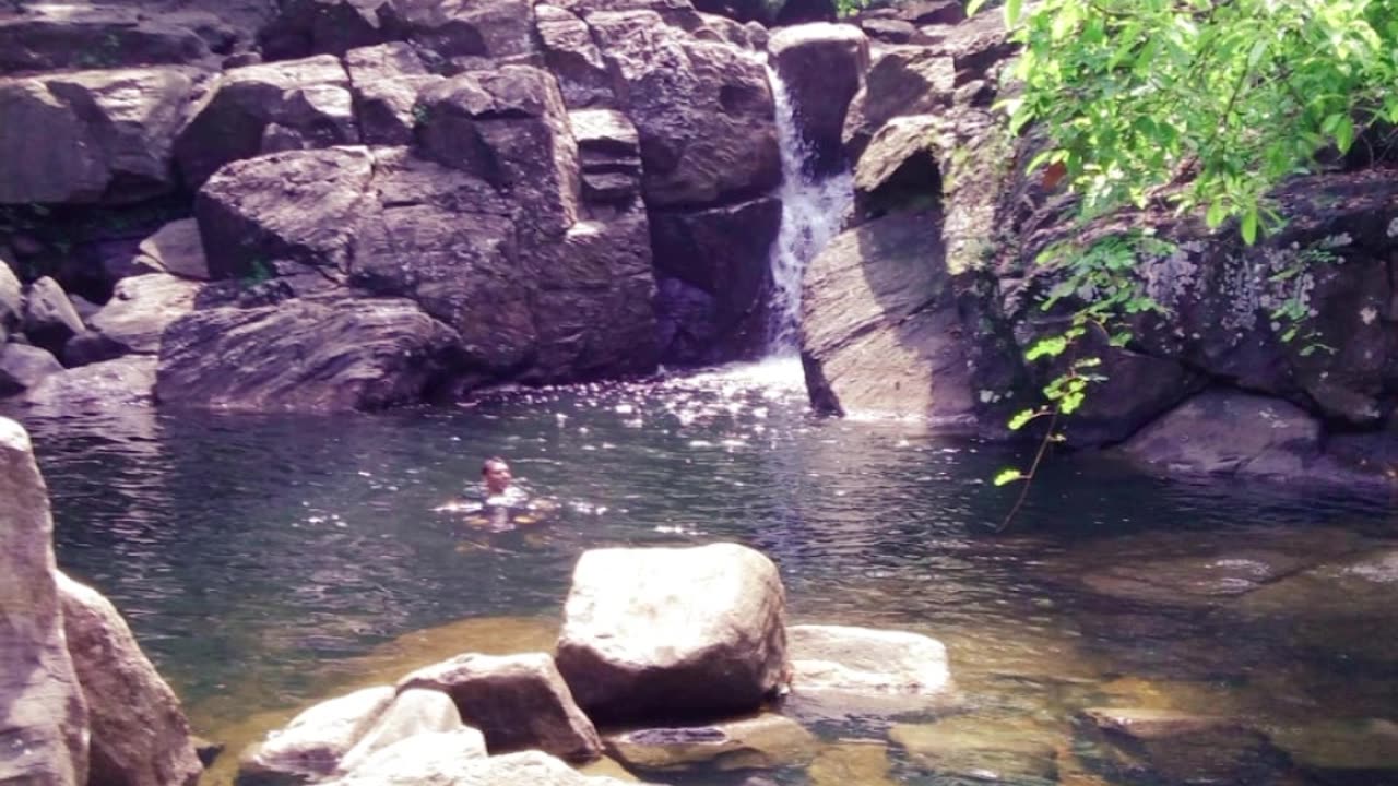 Natural forest with waterfall