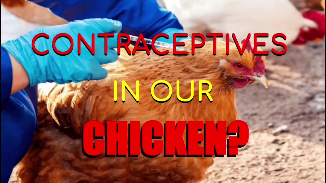 Contraceptives in our food