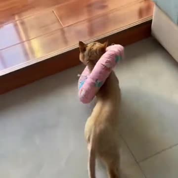 Swagger and confidence 😍😊