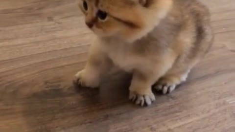 Our little cutie