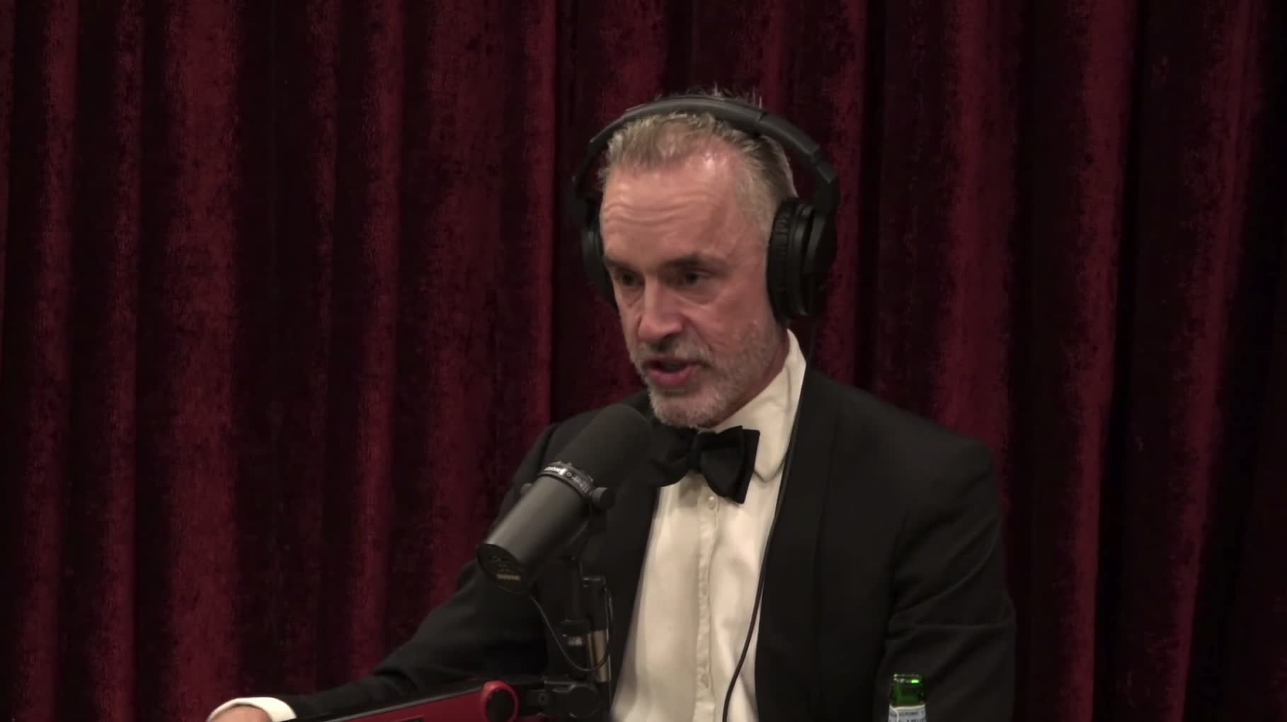 Jordan Peterson SLAMS leftists over putting limits on economic development