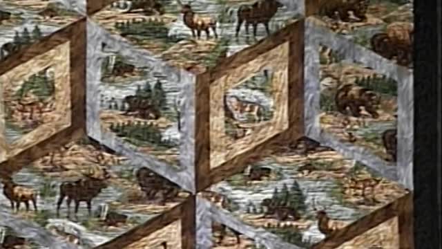 Diamonds of Yellowstone Quilt Tips and Techniques by Kaye Wood