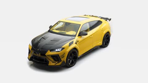 Mansory Venatus Evo