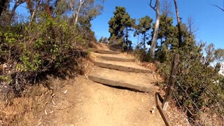 Feeling the Vibe in Presidio Park