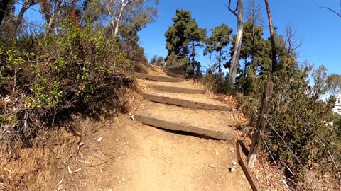 Feeling the Vibe in Presidio Park