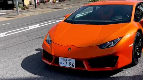 Great Lamborghini
