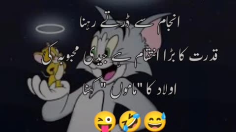 Shayari status| funny status| funny shayari| funny| video| status