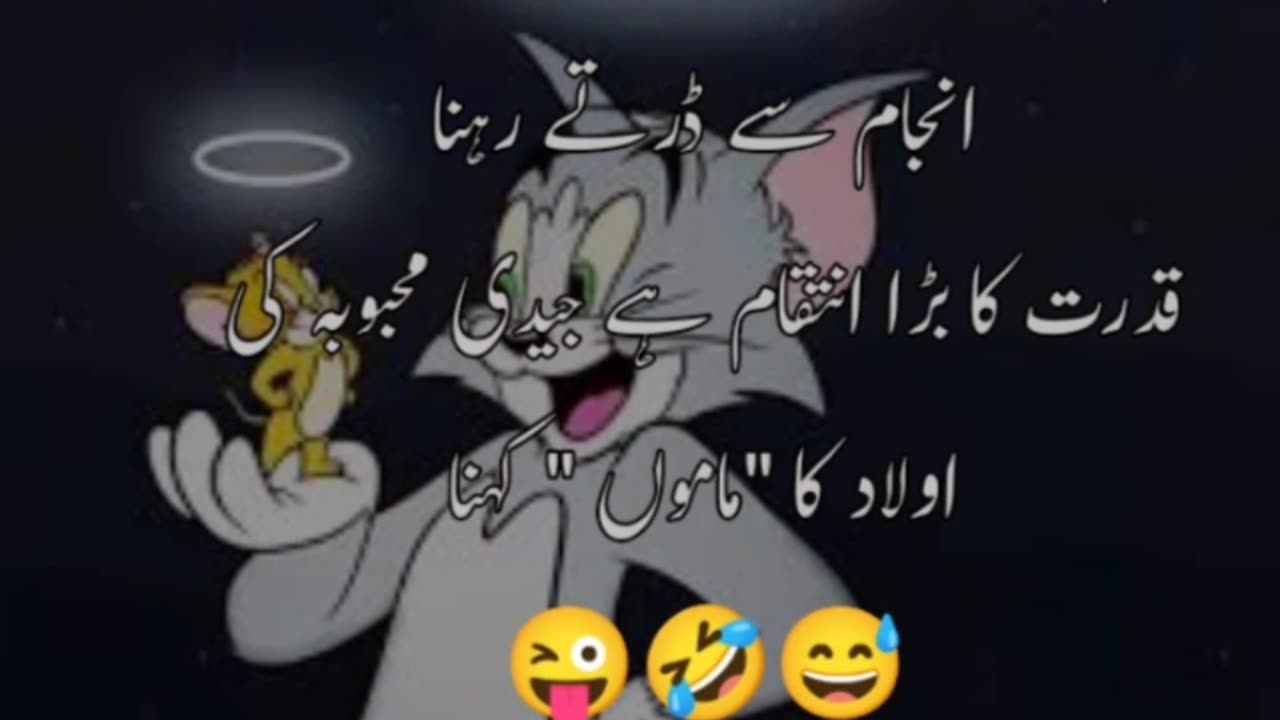 Shayari status| funny status| funny shayari| funny| video| status