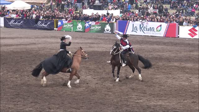 Semana de la Chilenidad Cueca Horse dance