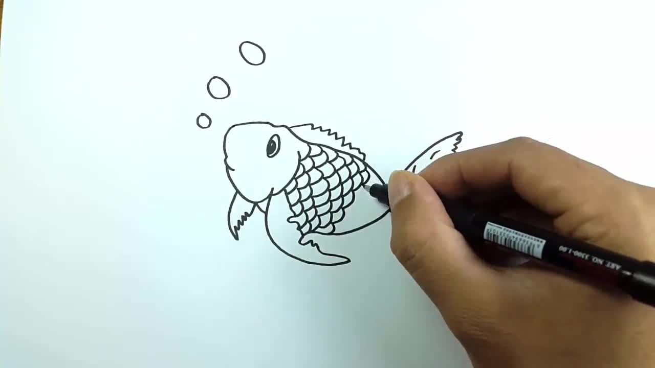 Fish Drawing part 1