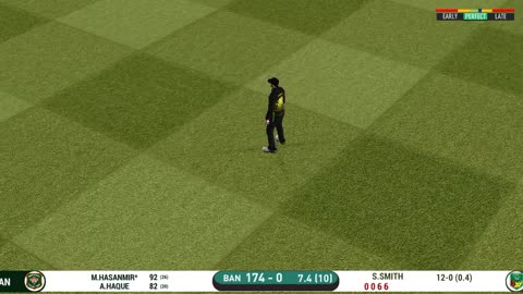 Play cricket game unliveable