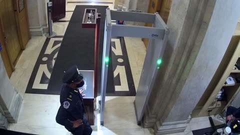 0163USCH01HouseCarriageDoor_2021-01-06_10h37min39s413ms.mp4