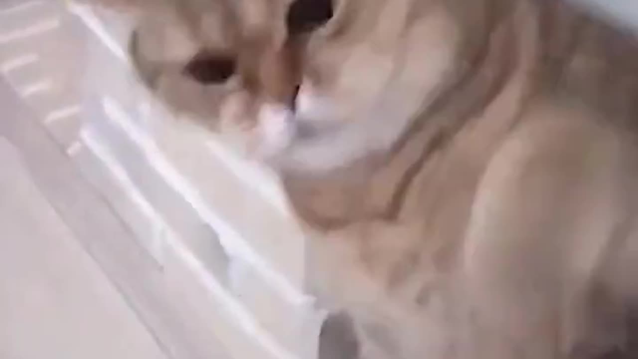 😁😁😁😁
