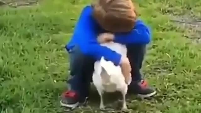 Best relationship with animals