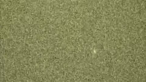 Head to Bruce Sees All Youtube channel to see Short & Long format Research Videos