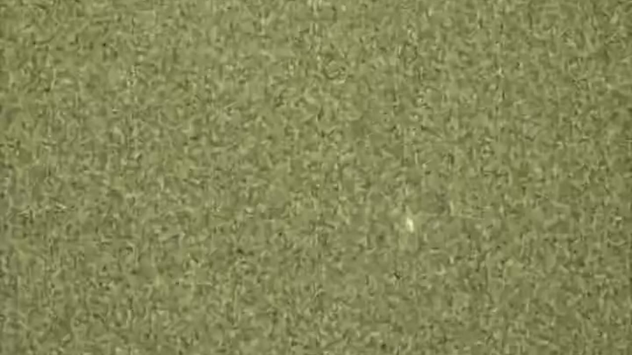 Head to Bruce Sees All Youtube channel to see Short & Long format Research Videos