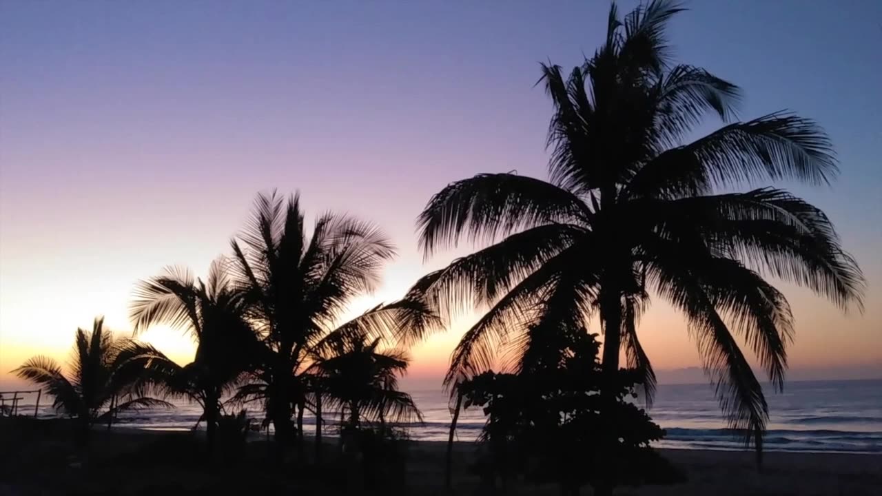 Merry Christmas - Watching Santa Flying Over Palm Trees