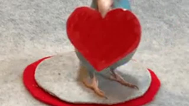 Very nice video