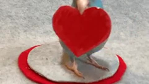 Very nice video